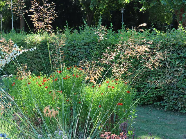 Foto: Brigitte Melder