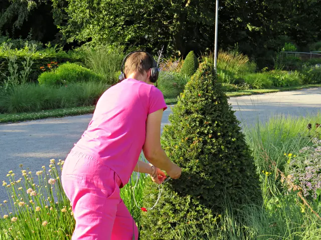 Foto: Brigitte Melder