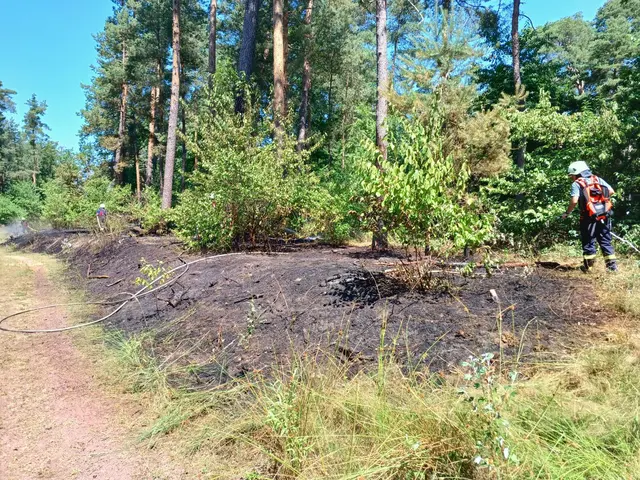 Waldbrand neben Rennbahnstraße: Feuerwehr Haßloch verhindert Schlimmeres | Foto: Feuerwehr Haßloch
