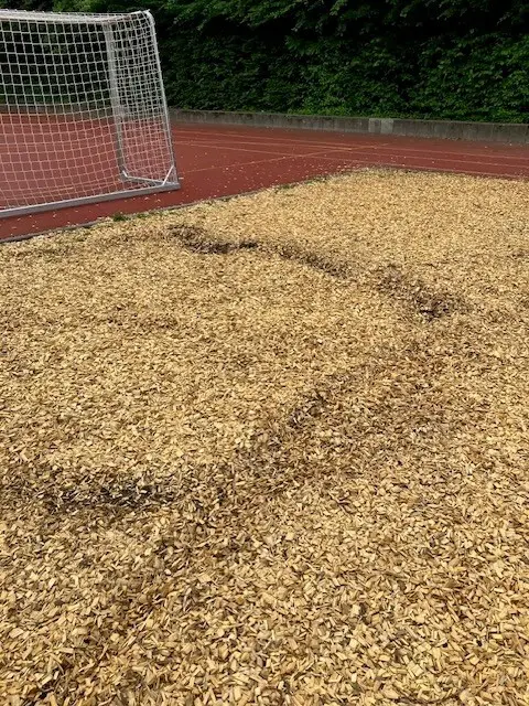 Vandalismus an der Grundschule Grethen | Foto: Stadtverwaltung Bad Dürkheim