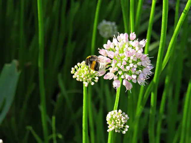 Foto: Brigitte Melder