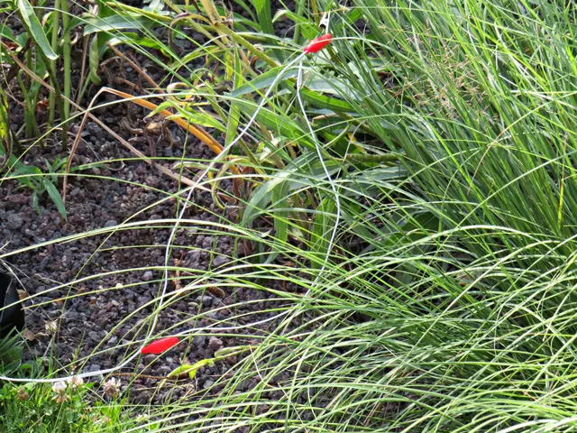 Foto: Brigitte Melder