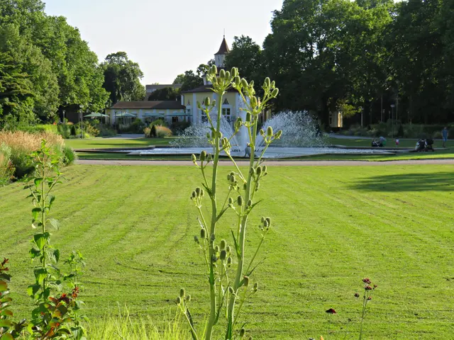 Foto: Brigitte Melder