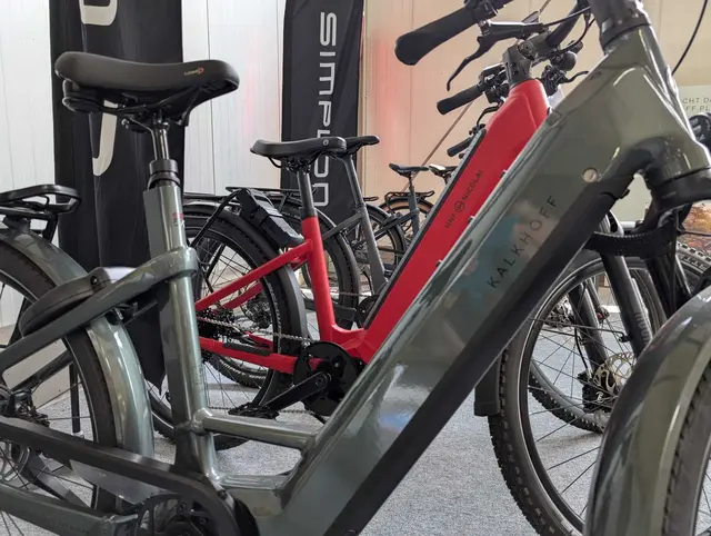 Vorrätig sind E-Bike-Hersteller, die sich durch Qualität, Wartungsfreundlichkeit  und leistungsstarke Akkus auszeichnen | Foto: Beilfuß