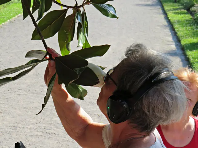 Foto: Brigitte Melder