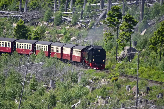 Dampflok Richtung Schierke | Foto: Walter Fromkorth