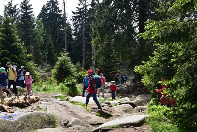 Natur-Weg nach Schierke | Foto: Walter Fromkorth
