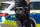 Symbolbild Polizei | Foto: Paul Needham