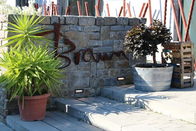 Foto: SV05; Holger Wildt; Weingut Braun