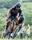 Für Niklas Märkl ging mit dem Start bei der Tour de France ein Traum in Erfüllung | Foto: Archiv Familie Märkl