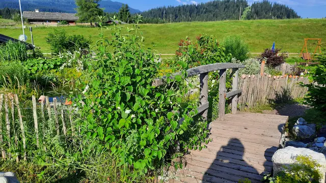 Foto: Kristin Hätterich