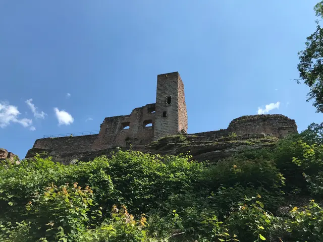 Burg Altdahn  | Foto: B.Bender