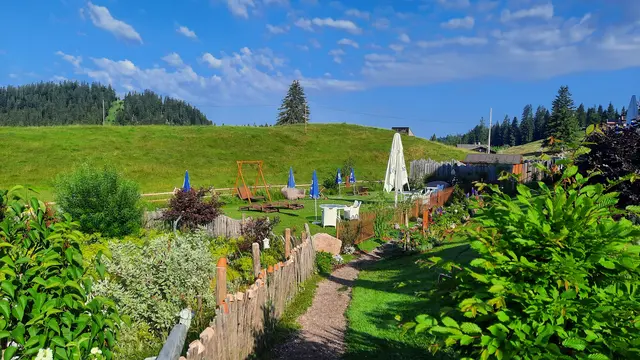 Foto: Kristin Hätterich