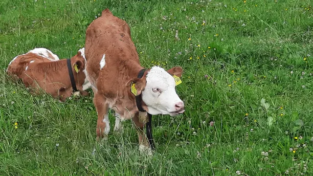 Foto: Kristin Hätterich