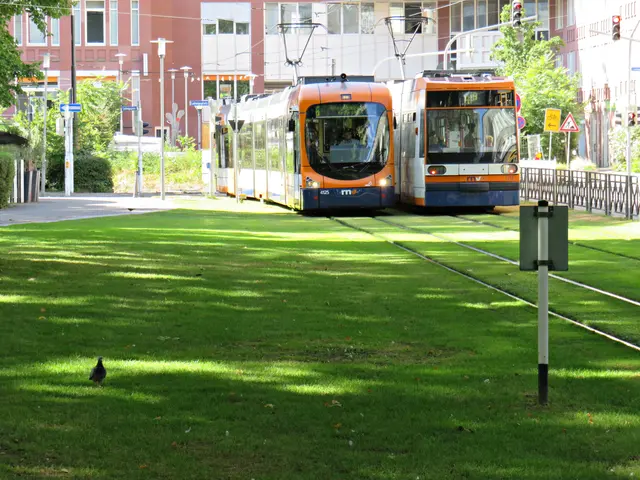 Alles so schön grün hier | Foto: Brigitte Melder