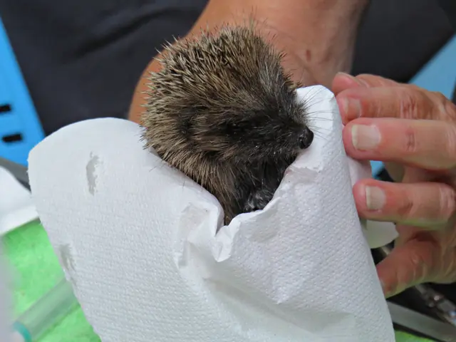 Und jetzt ein Bäuerchen | Foto: Brigitte Melder
