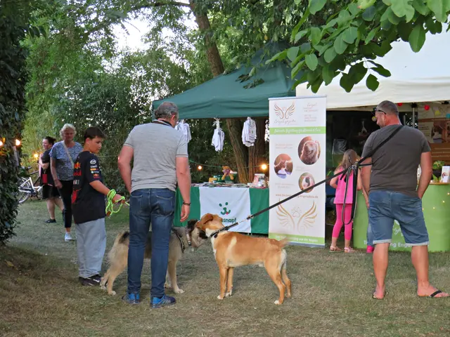 Hunde erwünscht | Foto: Brigitte Melder