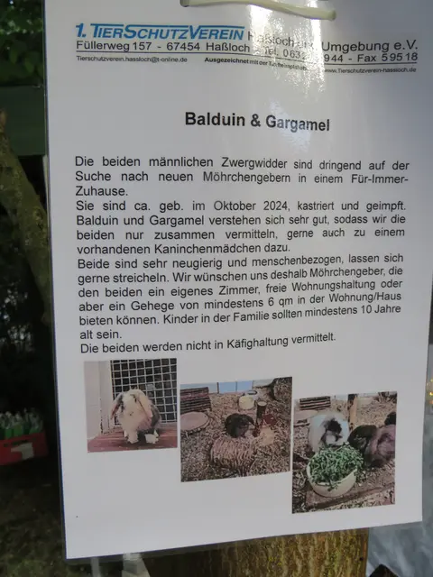 Aushang | Foto: Brigitte Melder