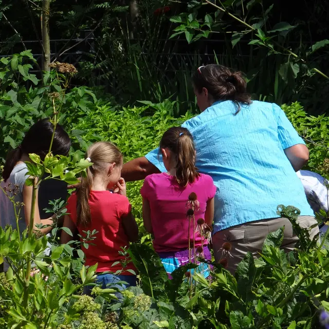 Rauszeit für Entdecker | Foto: Stadtpark Mannheim gemeinnützige GmbH