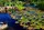 Profis im Garten: Steuertipps für Gartenliebhaber / Symbolbild | Foto: olyasolodenko/stock.adobe.com