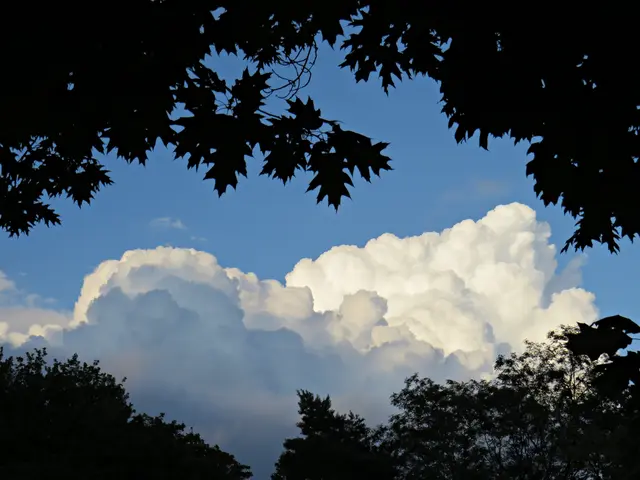 Foto: Brigitte Melder