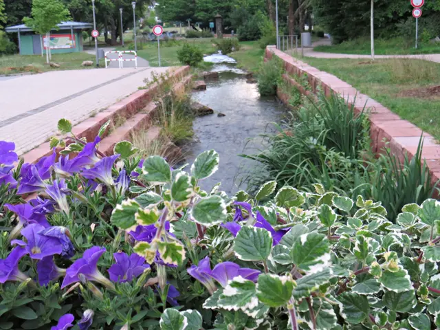 Foto: Brigitte Melder