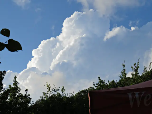 Verhießen nichts gutes | Foto: Brigitte Melder