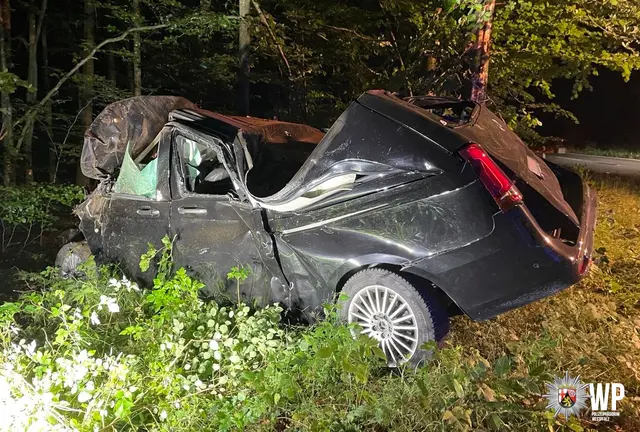 Der Van kam von der Straße ab, kippte seitlich und prallte anschließend mit Dach und Frontpartie gegen einen Baum neben der Fahrbahn | Foto: Polizeipräsidium Westpfalz