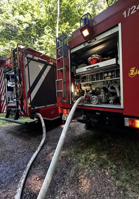 Foto: Jörg Tremmel/gratis