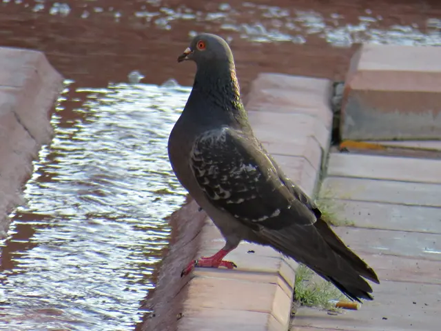 Muss keinen Durst leiden | Foto: Brigitte Melder