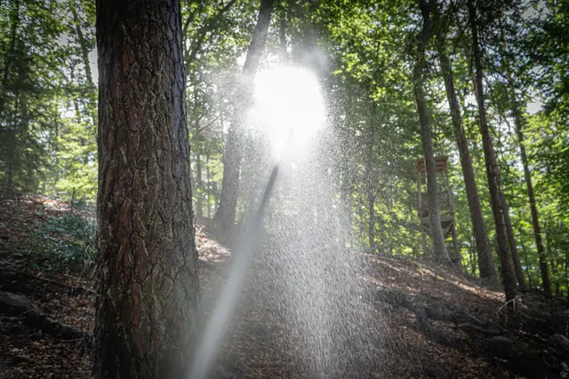 Besonders schwierig: das Löschen eines Waldbrandes an einem Hang | Foto: Jörg Tremmel/gratis