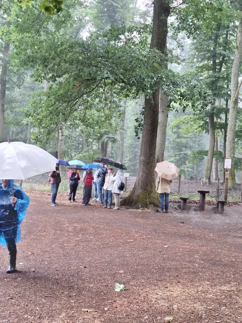 Schutzsuche vor dem Regen | Foto: Ich