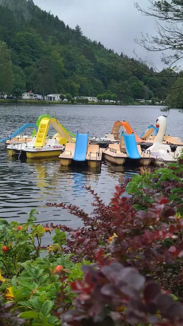 Clausensee | Foto: Ich