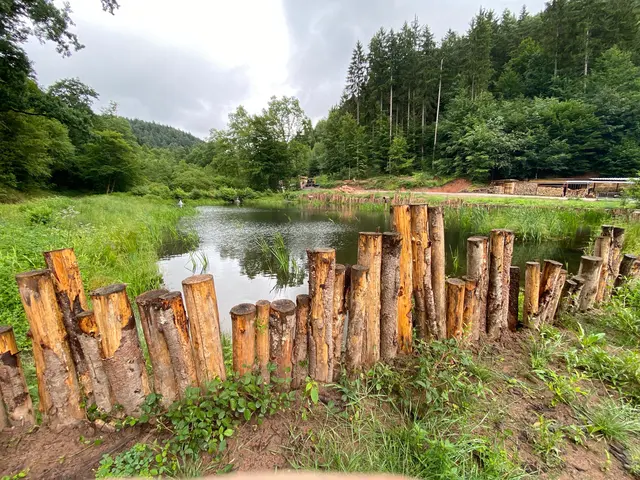 kleiner See | Foto: Ich