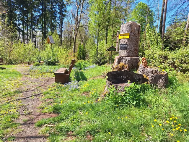 Hölzernes Kreuz mit Wegweiser zur Joggelhütte | Foto: Ich
