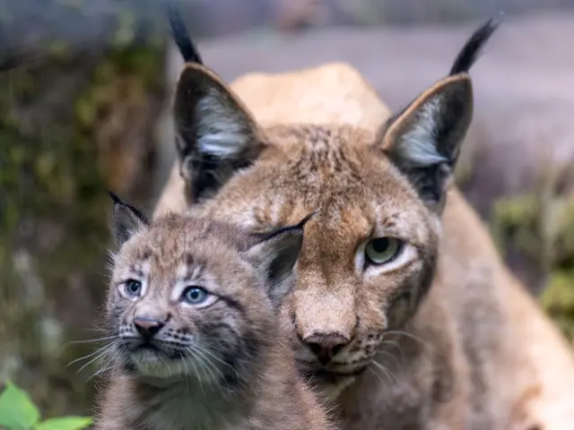 Foto: Johann-Peter Melder