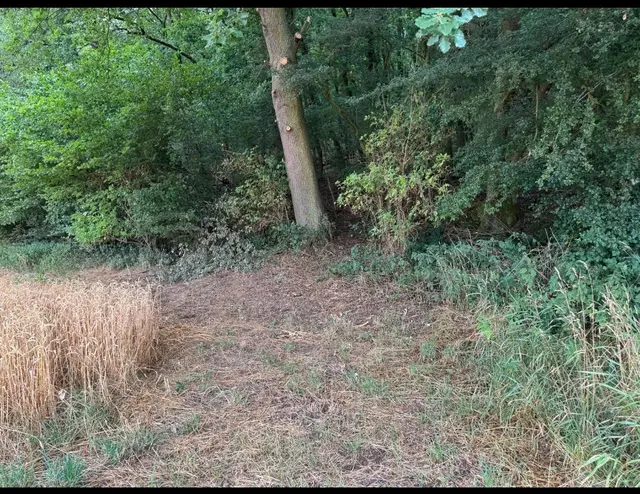 Hier stand die neu gebaute Bank | Foto: Albert Ziegler Foto