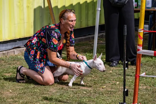 Auf die Plätze  fertig  | Foto: Wolfgang Neuberth