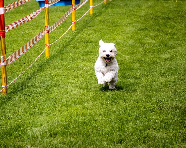 macht Spass | Foto: Wolfgang Neuberth