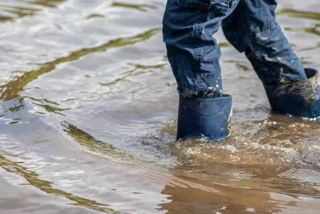 Hochwasser Symbolbild | Foto: sunakri/stock.adobe.com