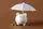 Foto: Pixel-Shot/stock.adobe.com