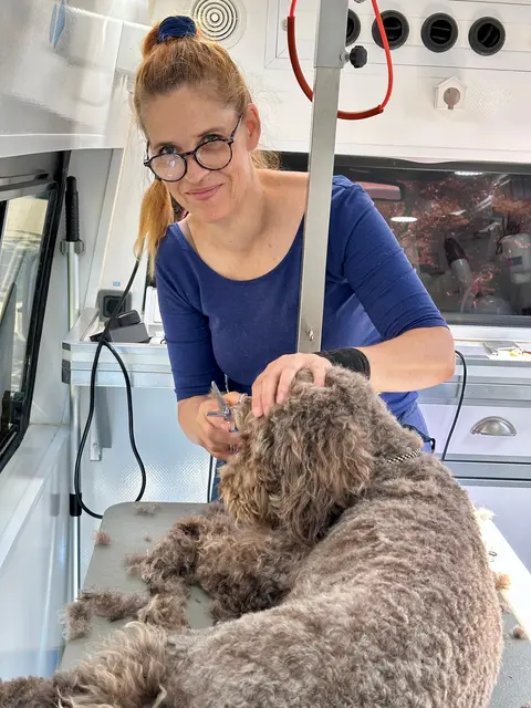 Mit Liebe und Einfühlungsvermögen ermöglicht Stefanie Korb in ihrem mobilen Hundesalon auch Problemhunden die nötige Fellpflege.

 | Foto: fraukorb