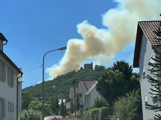 Der Waldbrand am Hambacher Schloss im Jahr 2022 hat den Fokus auf besondere Gefahren gerichtet | Foto: Feuerwehr Neustadt