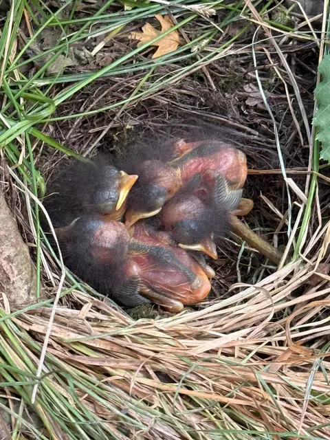 Foto: Pressestelle VG Kirchheimbolanden