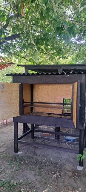 Foto: Nicole Peschke