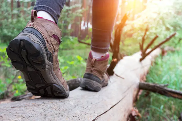 Wandern Symbolbild | Foto: Sergii Mostovyi/stock.adobe.com