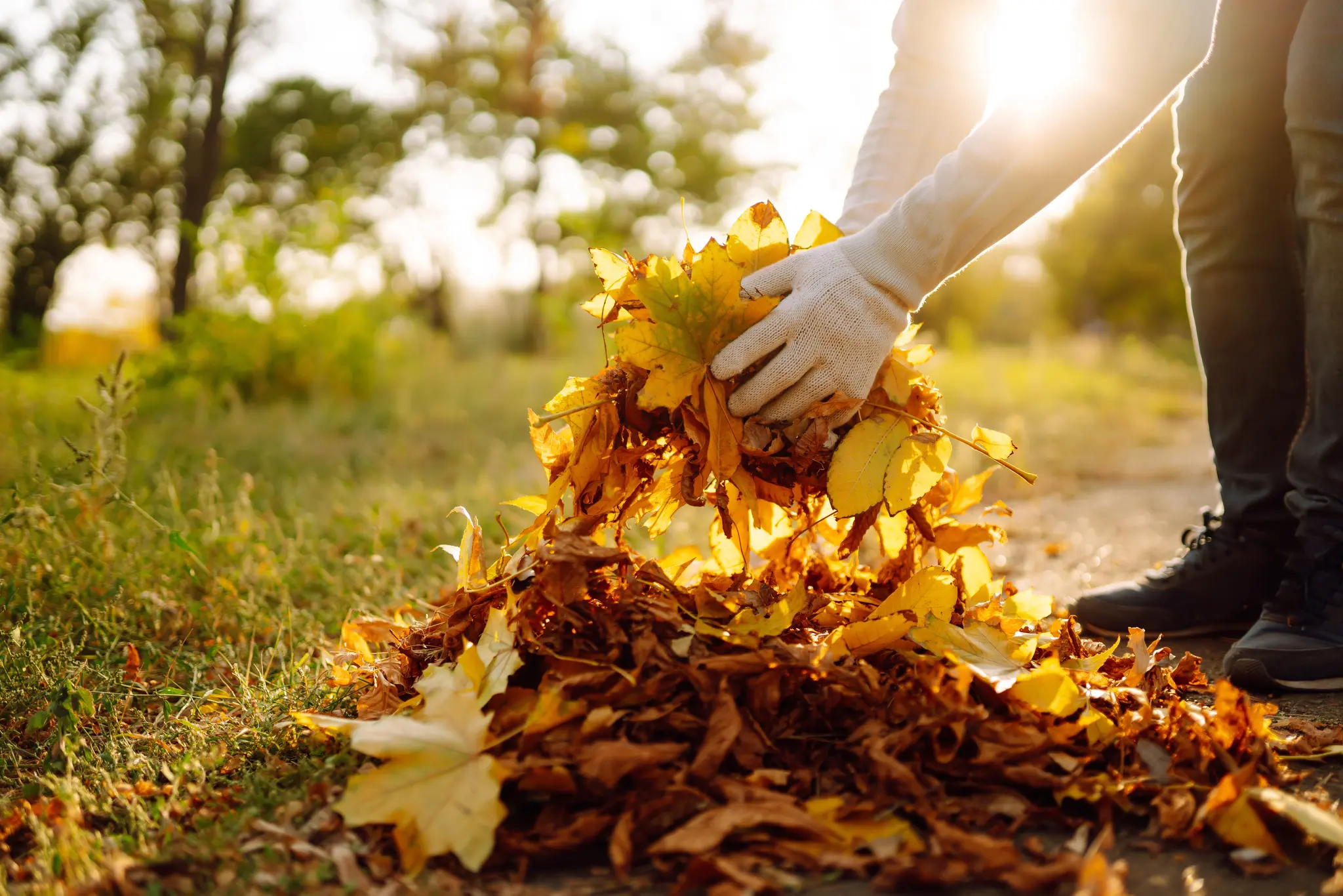 Mulch-im-Garten-Nicht-nur-sch-n-anzusehen-er-sch-tzt-auch-vor-Austrocknung