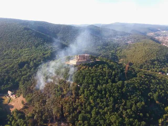 Blick vom Polizeihubschrauber aus auf den Waldbrand von 2022 | Foto: Polizei Neustadt