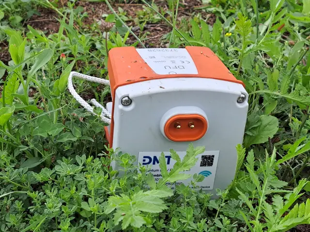 Sensible Messgeräte: 28.000 dieser Geophone werden in dem Messgebiet an bestimmten Punkten platziert | Foto: Monika Klein