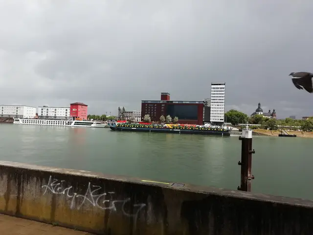 Mystische Stimmung am Rhein: Wenn nach dem Regen die Sonne wieder rauskommt, leuchten die Farben intensiv, das Wasser türkis-grün. | Foto: Julia Glöckner